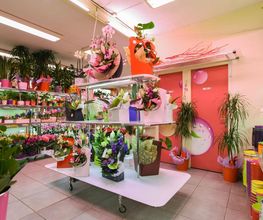 Le Langage Des Fleurs image 19