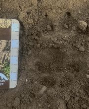 Wildnisschule WildnisWelt Bild 6