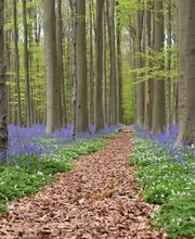Bestatter Winsen