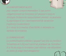 Equi'Canis Comportement image 4