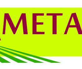 Etv Metayer image 2