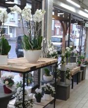 Fanny Fleurs image 5