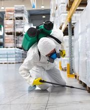 Kohlhaas & Honecker | Schädlingsbekämpfung Köln