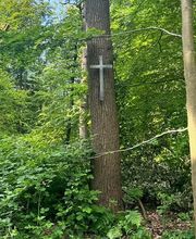 FriedWald Ostfriesland Bild 2