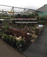 Pirig Gartencenter Bild 8