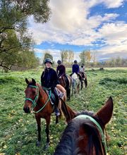 Cerdanya Eqüestre imagen 3