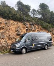 Fleet and Goo Minibus imagen 2