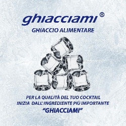 Ghiacciami  Ghiaccio Gourmet a Cubetti logo