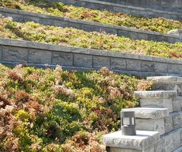 Art & Giardini Sagl Bild 10
