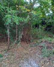 Guerro Elagage image 10