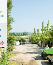 Bernhard Baumschulen AG Bild 2