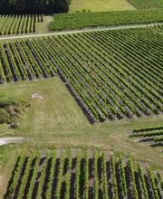 Citeau Christophe image 6