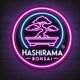 Hashirama Bonsai