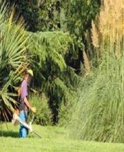 Cantegrit Sylvain image 1