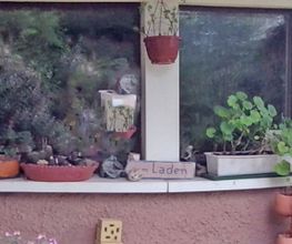 Rund um Ton Bild 2