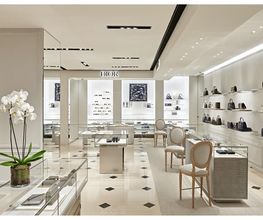 DIOR immagine 1