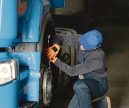 TALLERES ALGITRUCKS,S.L. imagen 7