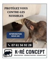K-RÉ Concept image 3