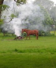 Coquet Laurence gite des Faluères image 3