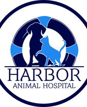 Harbor Animal Hospital image 11