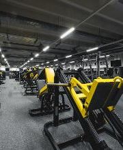 FITINN immagine 8