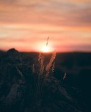 Bill Head Funeral Homes & Crematory/ Duluth Chapel image 2