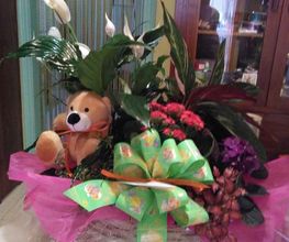 IMG_20160823_123824.jpg