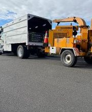 Owen's Tree Expert image 9