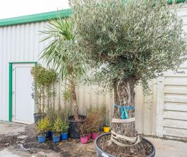 Jardin Services EURL image 9