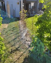 Mächi Hürlimann GmbH Bild 10