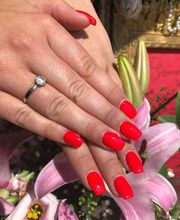 Beauté des neiges image 7