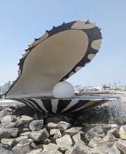 PXL_20240527_095135094.jpg