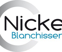 Nickel image 1