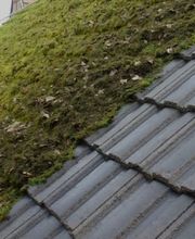 Michael Dachdecker Bild 1