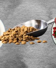 HUNDherum glücklich mit Antje Schnitzler Hundefutter-Vergleich24 | ANIfit Bild 2