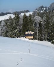 Perrier Estelle image 2