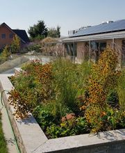 Trais Fluors Gartenbau GmbH Bild 8