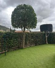 AR HORIZON image 4