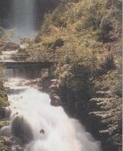 Naturheilpraxis Elke Schmitt Bild 1