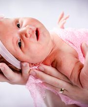 Photo-Proßwitz Bild 2