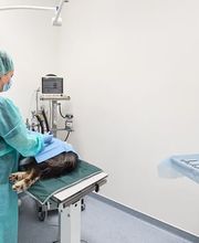 OP-Saal in Medivet Tierarztpraxis Unterhaching