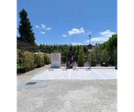 Wenea imagen 2