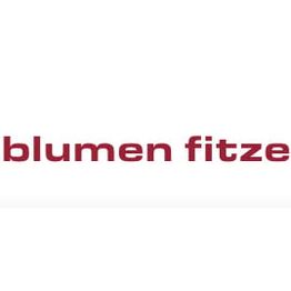 blumen fitze AG
