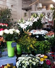 A La Fleur De Clémentine image 5