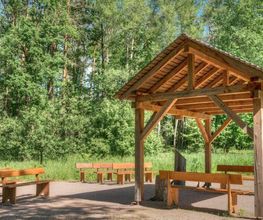 Der Andachtsplatz im FriedWald Oberau kann für eine Trauerfeier unter freiem Himmel genutzt werden.