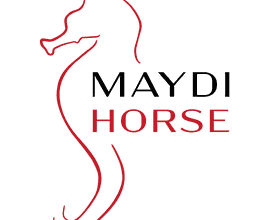 230578247-1-3kVQYNXBNS1730017684230.png