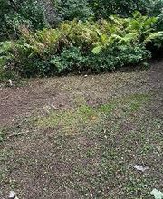 Clearly Blue Cleaning LLC image 12