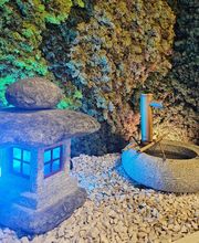 Acupuntura em Brasília - Eli Formiga imagen 14