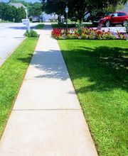 Shepherds View Landscaping & Tree Removal, LLC image 11