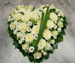 Blumenfee Hilden Bild 7